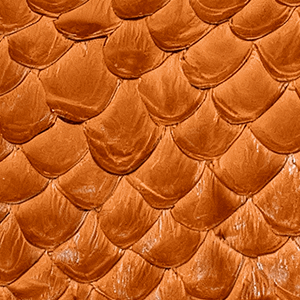 Thumb-form-caramel